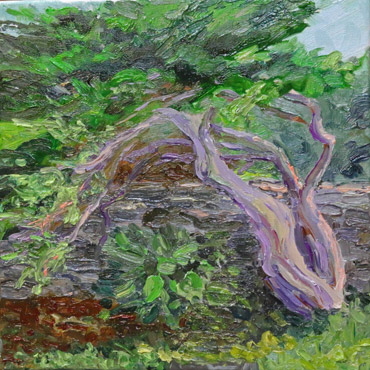 Juniper, 10x10, Oil on Canvas